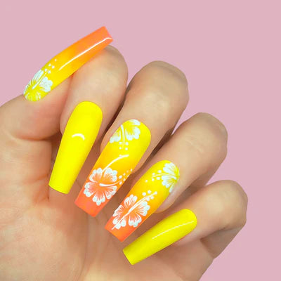 GP503- Sunshine