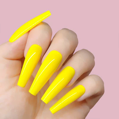 GP503- Sunshine