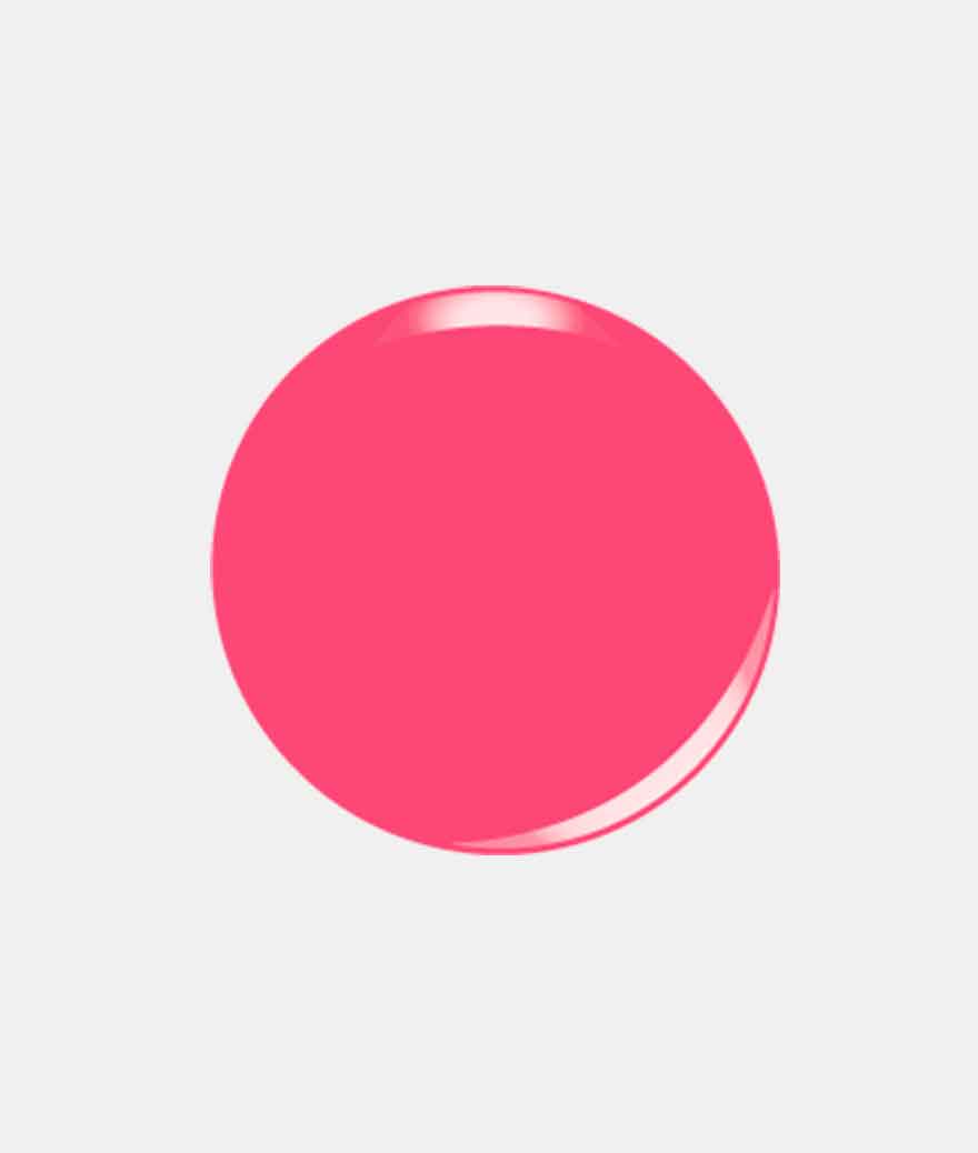 G453 Back To The Fuchsia