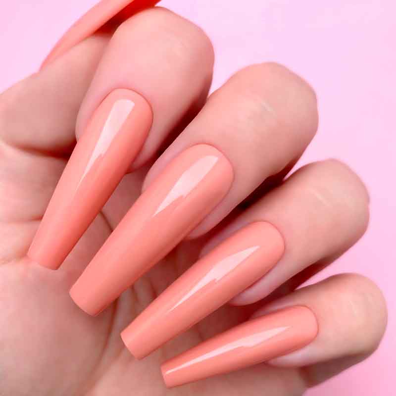 N5009-PRETTY PLEASE