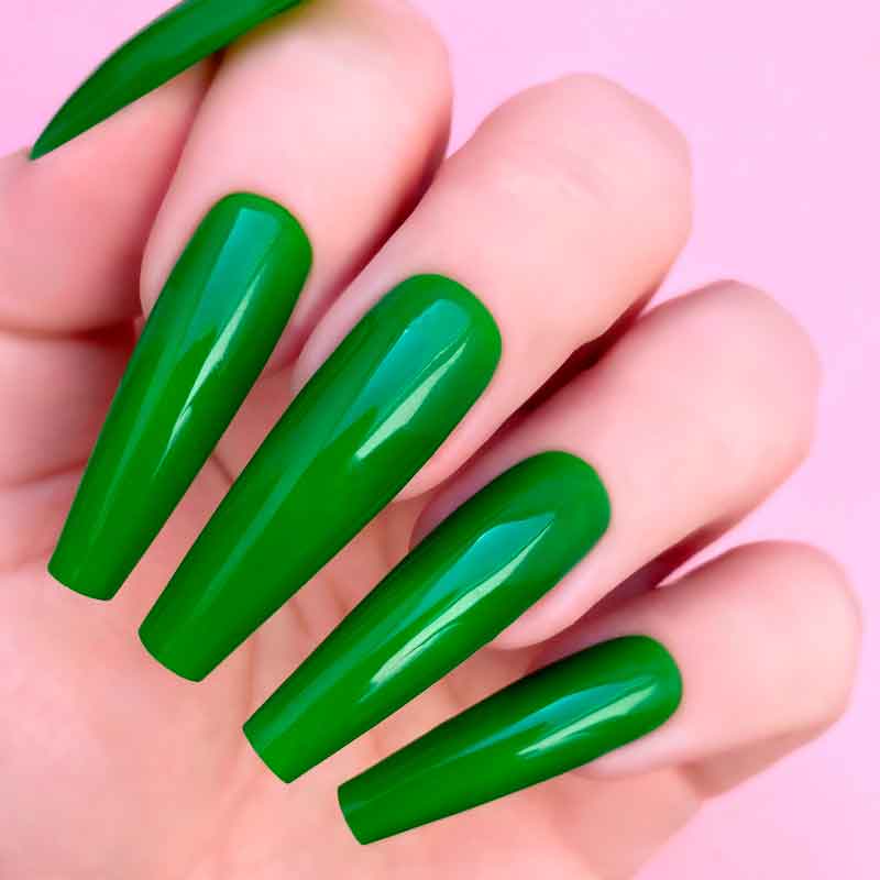 D5078-Palm Reader 14gr