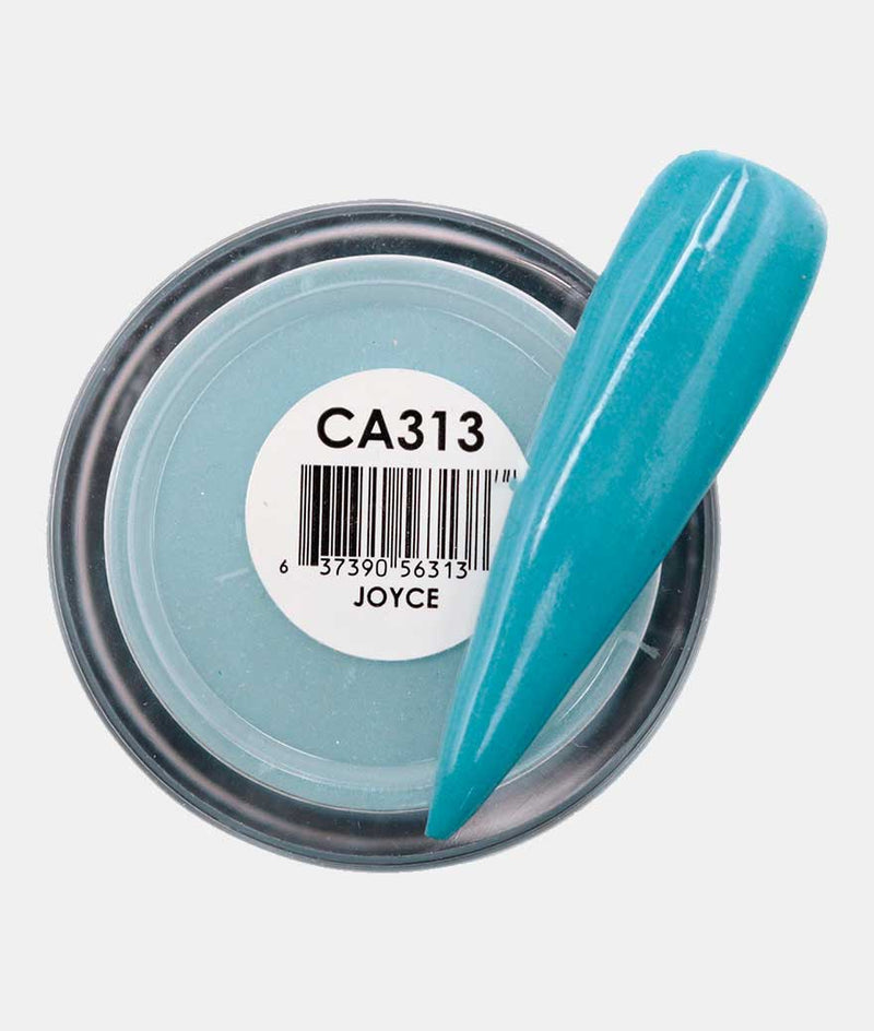 CA313 - Joyce