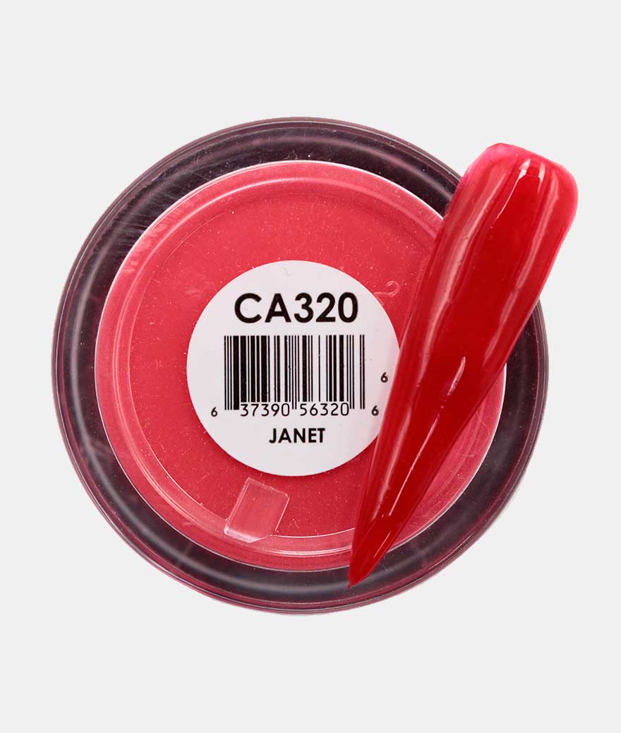 CA320 - Janet