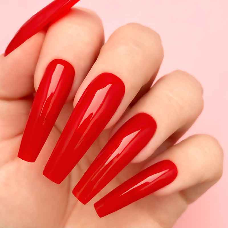 N5031-Red Flags